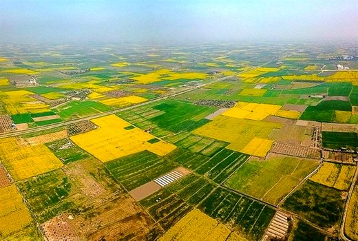 تثبیت بیش از ۶۵ هزار هکتار اراضی غیر ملی در گناوه