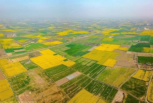 تثبیت بیش از ۶۵ هزار هکتار اراضی غیر ملی در گناوه