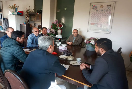 پوشش ۴۰۰ هزار رأس دام سبک در آذربایجان‌غربی با اجرای طرح افزایش تولید گوشت قرمز 