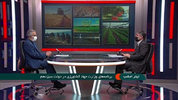 تعیین قیمت 7500 تومانی گندم برای سال زراعی جدید