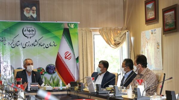 توسعه کشاورزی کردستان در گرو آموزش بازار محور است
