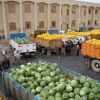 صدور مجوز صادرات بیش از ۵۸ هزار تن انواع محصولات کشاورزی در شلمچه