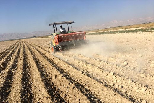  کلزا در سطح 1600 هکتار در مُهر کاشته شد