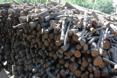 کشف یک تن چوب جنگلی بلوط قاچاق در شهرستان اردل 