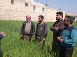 از مزرعه الگویی تا کشاورزی بهره‌ور؛ تات به دنبال پر کردن شکاف عملکردی تولید