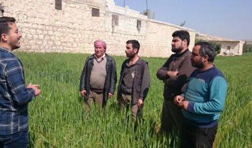 از مزرعه الگویی تا کشاورزی بهره‌ور؛ تات به دنبال پر کردن شکاف عملکردی تولید