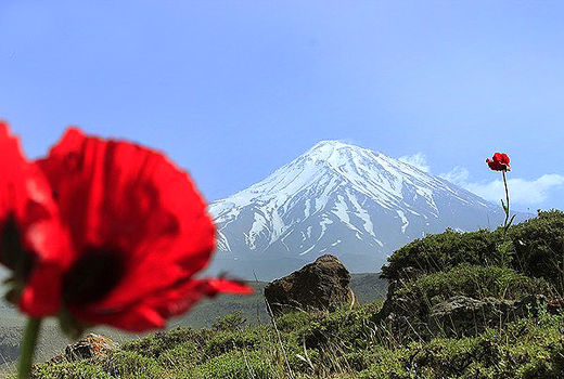 اقتصادی کردن 8000 هکتار از اراضی مرتعی دماوند