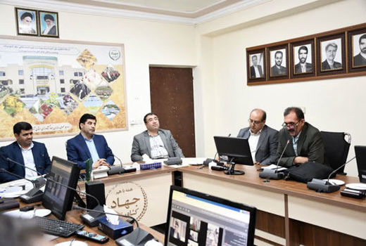 هفت لاین جدید در کشور تا آخر سال برای گندم معرفی می‌شود