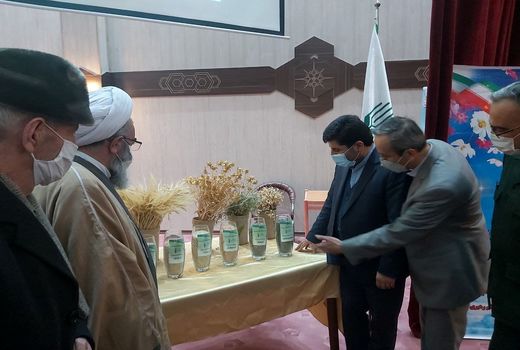 رونمایی از هفت رقم زراعی جدید در موسسه تحقیقات دیم کشور در مراغه
