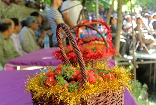 جشنواره توت فرنگی کردستان
