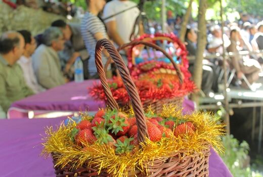 جشنواره توت فرنگی کردستان