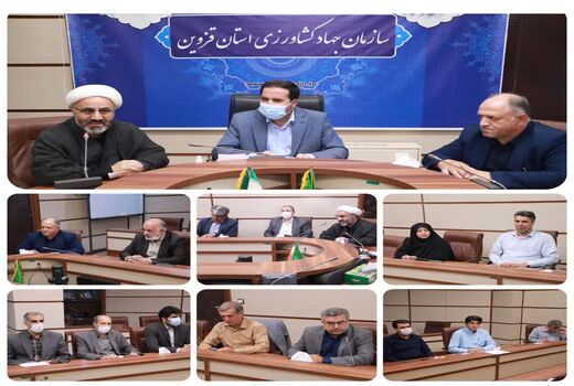 مبارزه آفت دم قهوه ای درختان بلوط با جدیت پیگیری شود 