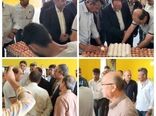 بازدید مشاور وزیر جهادکشاورزی از زنجیره تولید تخم مرغ چیکا طلایی در گنبد