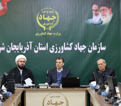 95 درصد از اراضی کشاورزی رفع تداخل شده است