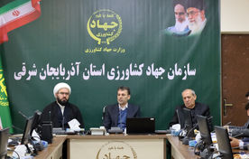 95 درصد از اراضی کشاورزی رفع تداخل شده است