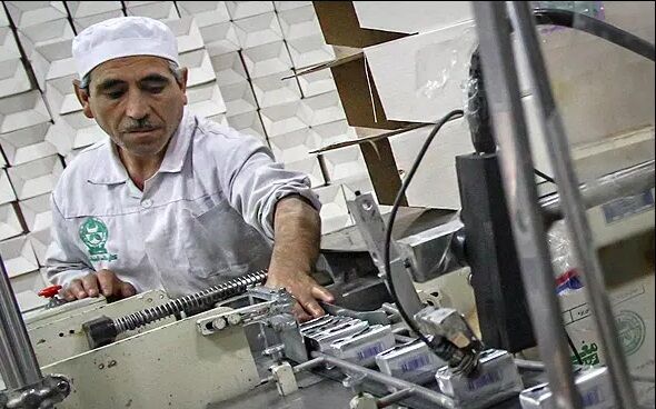 توسعه سبد محصولات لبنی کشت و صنعت مغان