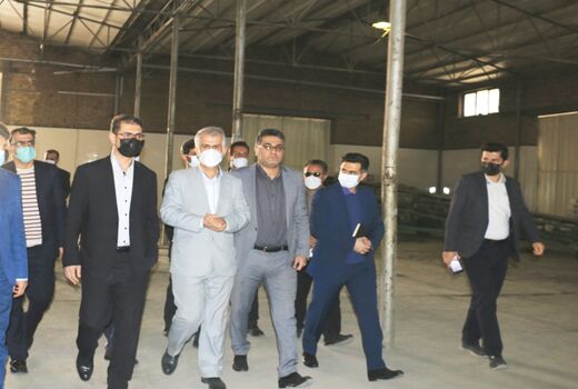 5326 تن برنج در ایام نوروز در استان کردستان توزیع شد