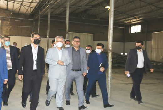 5326 تن برنج در ایام نوروز در استان کردستان توزیع شد