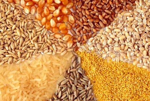 رتبه‌بندی کارخانجات خوراک دام، لازم و ناکافی