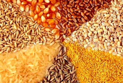تامین کنجاله سویا از هفته آینده