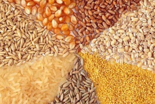 توزیع بیش از ده هزار تن نهاده دامی در نیمه اول فروردین ۱۴۰۰