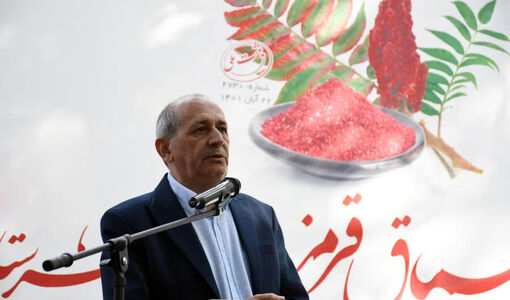تبریز میزبان طعم ارسباران؛ نخستین جشنواره زغال‌اخته و سماق برگزار می‌شود