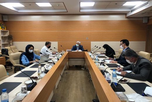 بخش خصوصی در انتقال تکنولوژی تولید بذور محصولات کشاورزی مشارکت کند