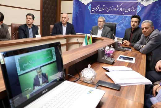 تامین گوشت مرغ تا پایان فروردین ماه برای بازار قزوین مهیا شده است