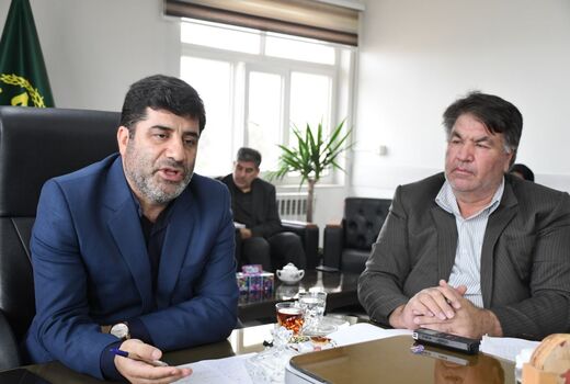 لزوم تعویض تاج و سرشاخه کاری درختان گردو در شهرستان آذرشهر