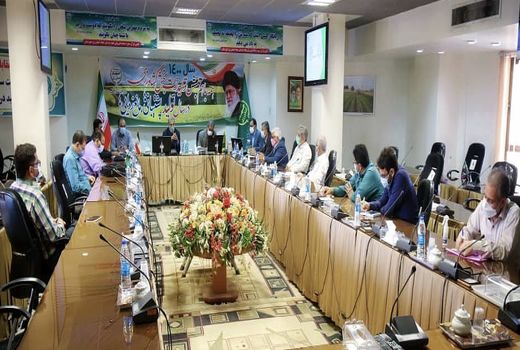 زراعت خوزستان در جایگاه نخست بیمه کشور