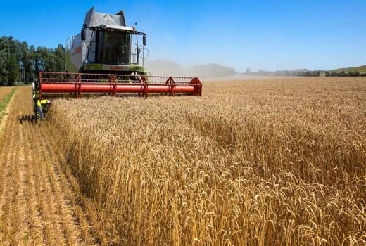 دولت عراق هر کیلوگرم گندم را 28 هزار تومان می‌‎خرد