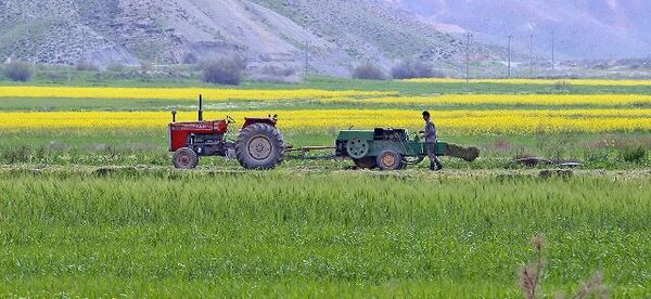 تجهیز و نوسازی اراضی در ۲۱۳ هکتار از مزارع اصفهان انجام می‌شود
