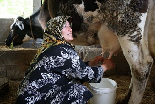 تسهیلات نقدینگی برای واحد های دام، طیور و آبزیان فارس