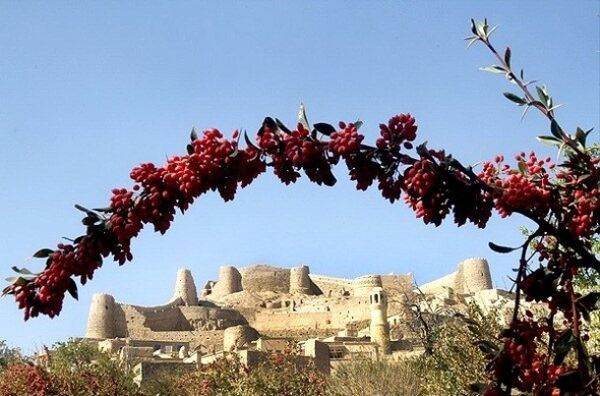 جشنواره زرشک بهانه‌ای برای معرفی شهرستان درمیان
