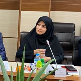  توسعه و نوسازی 41 هزار هکتار  از باغات گرمسیری و نیمه‌گرمسیری در سال جاری