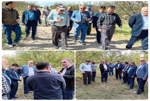 تنش‌های محیطی و آبی باعث شکوفه دهی و خسارت به درختان اهر شده است