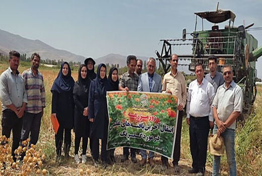 برگزاری 235 دوره آموزشی ترویجی و مهارتی برای کشاورزان و بهره برداران بخش کشاورزی مرند