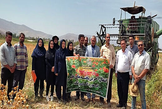برگزاری 235 دوره آموزشی ترویجی و مهارتی برای کشاورزان و بهره برداران بخش کشاورزی مرند