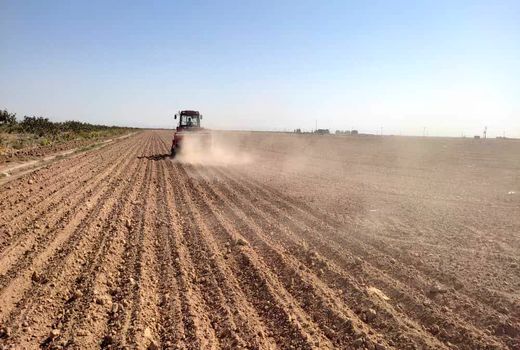 آغاز کشت پاییزه در خراسان رضوی
