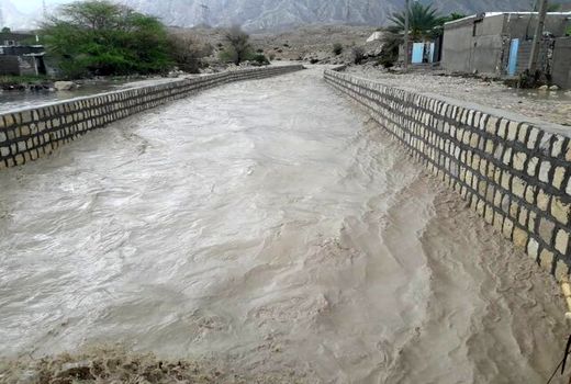 خسارت ۳۶۳ میلیاردی سیل به مزارع و باغات جنوب بوشهر