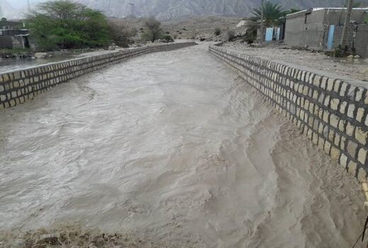 خسارت ۳۶۳ میلیاردی سیل به مزارع و باغات جنوب بوشهر