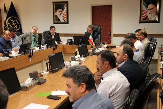 دام های استان تهران هویت دار می شوند