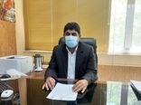 تولید ۲۱هزار تن بذر گندم در استان ایلام در سال جاری