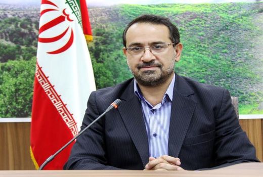 کاشت 53 هزار اصله نهال جنگلی در فارس 