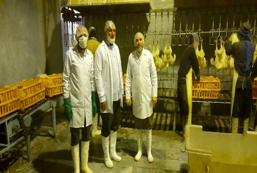 بازدید شبانه مسئول حوزه نمایندگی ولی‌فقیه سازمان جهاد کشاورزی قزوین از کشتارگاه صنعتی بهساز پروتئین ارداق