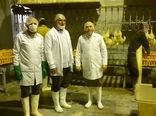 بازدید شبانه مسئول حوزه نمایندگی ولی‌فقیه سازمان جهاد کشاورزی قزوین از کشتارگاه صنعتی بهساز پروتئین ارداق
