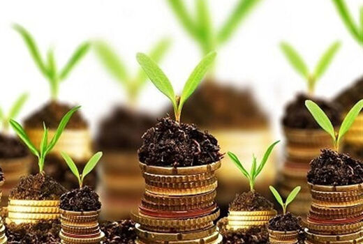 آغاز گردهمایی منطقه‌ای صندوق‌های حمایت از بخش کشاورزی در سنندج
