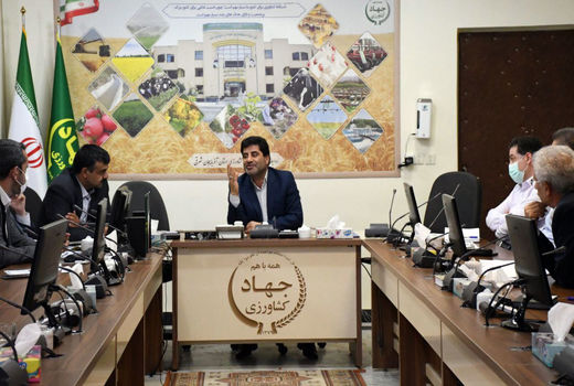 حمایت حداکثری از شرکتهای دانش بنیان در حوزه کشاورزی/رونق کشاورزی در گرو علم محور شدن تولیدات