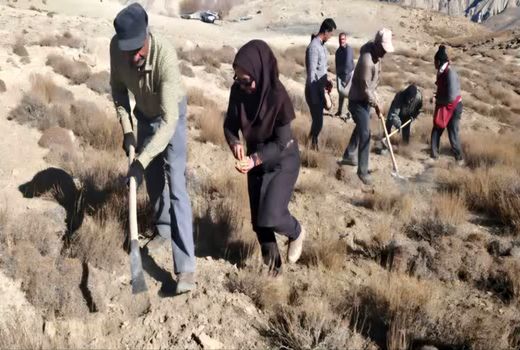 پویش کویر سبز در سطح یک هزار هکتار در فصل پاییز 