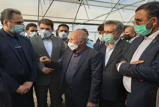 راه‌اندازی کارگروه پایش پیاز جنوب کرمان در وزارت جهاد کشاورزی